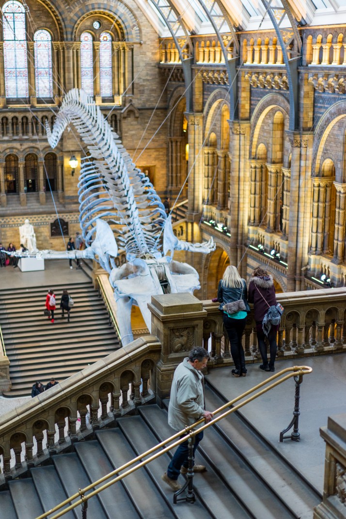 2017-12-05 - NHM-002