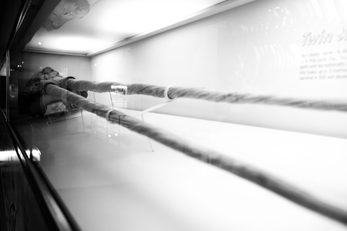 2018-01-22 - Natural History and Science Museums-002