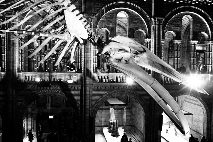 2018-01-26 - NHM Lates-016