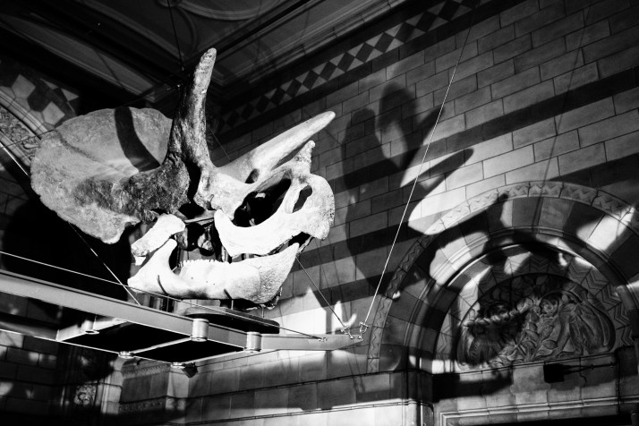 2018-01-26 - NHM Lates-022