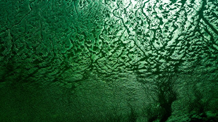 04-06-2017-WestonBeachAbs-002