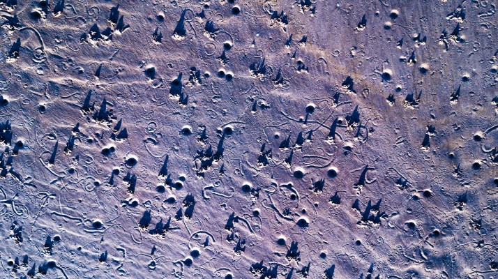 04-06-2017-WestonBeachAbs-005