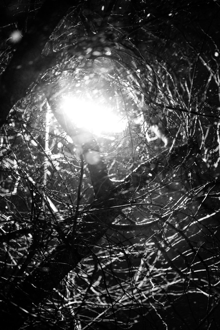 2018-02-28 - Snowy Epsom-011