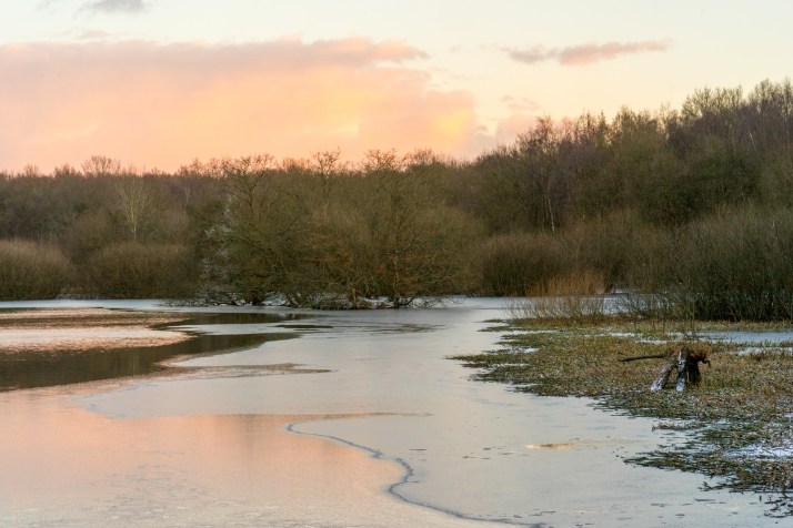 2018-02-28 - Snowy Epsom Common-002