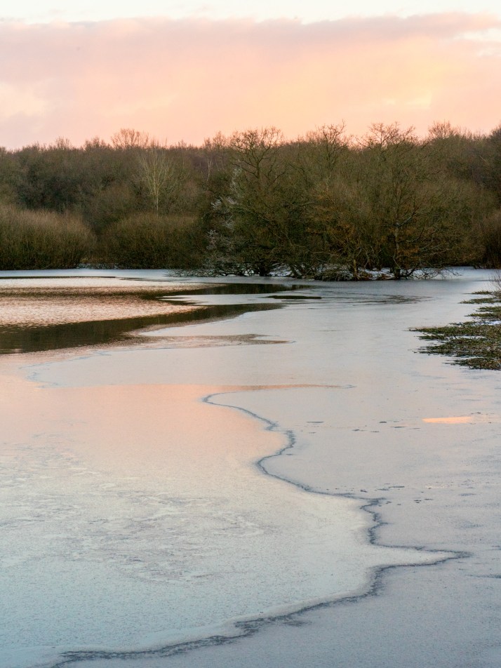 2018-02-28 - Snowy Epsom Common-003