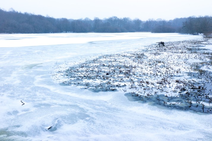 2018-03-01 - Snowy Epsom Common-001