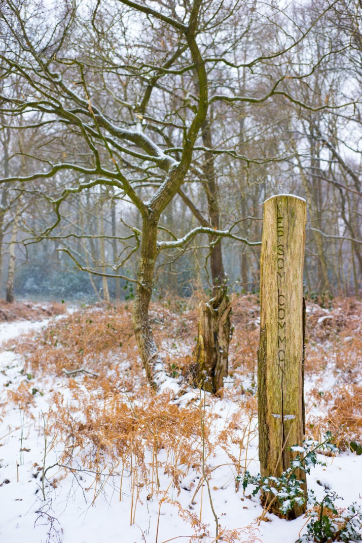 2018-03-02 - Snowy Epsom Common-004