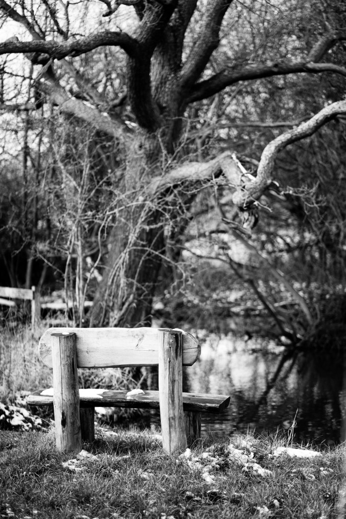 2018-03-19 - Epsom Common BftE 2-005