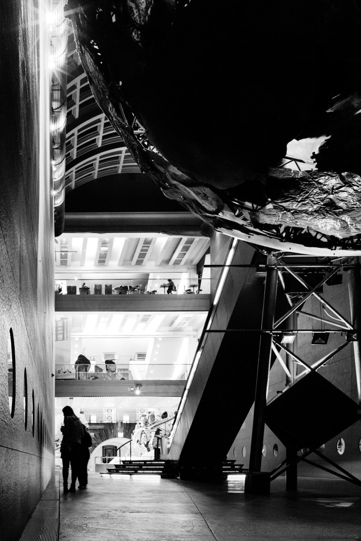 2018-03-25 - Dinosnores-015