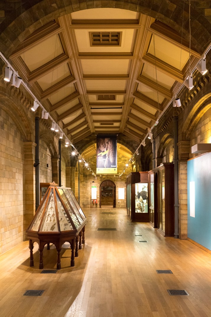 2018-03-25 - Dinosnores-016