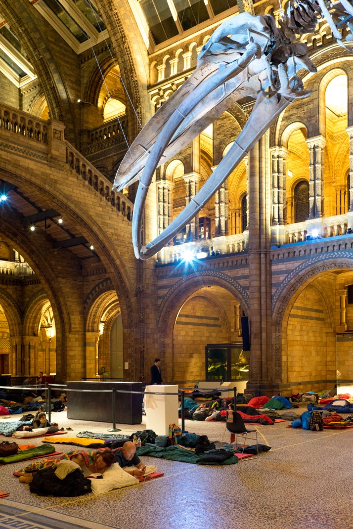 2018-03-25 - Dinosnores-019