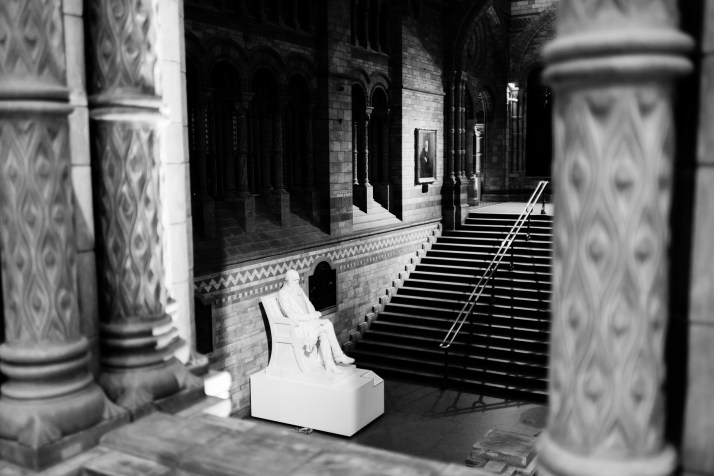 2018-03-25 - Dinosnores-020