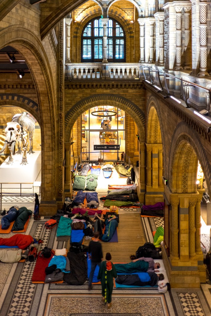 2018-03-25 - Dinosnores-022