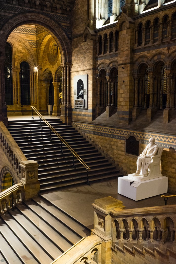 2018-03-25 - Dinosnores-024