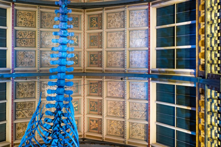 2018-03-25 - Dinosnores-025