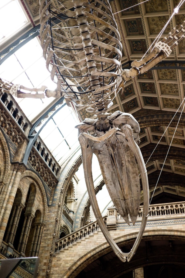 2018-03-25 - Dinosnores-027