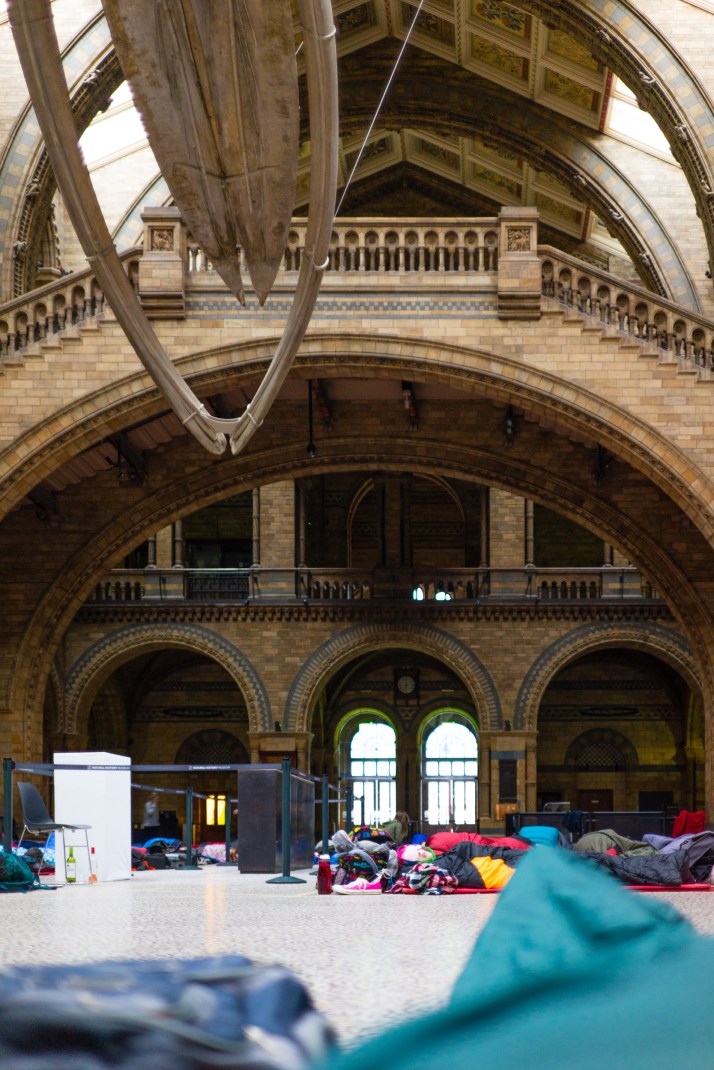 2018-03-25 - Dinosnores-028